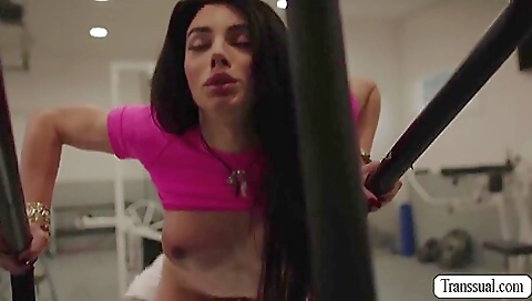 Busty brunette babe in the gym and analed by a big dick